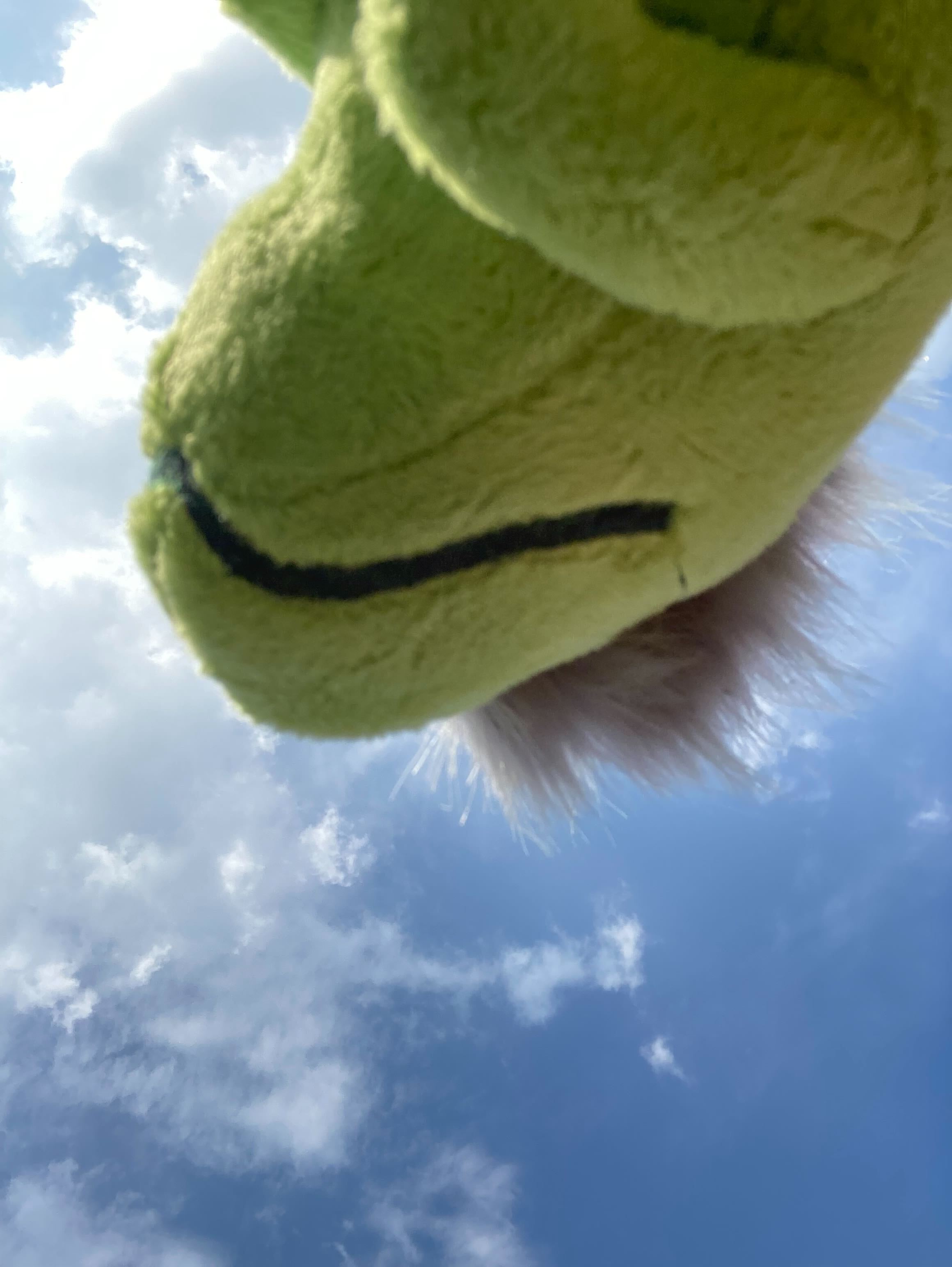 Featured Image for Rexy is off to IBC